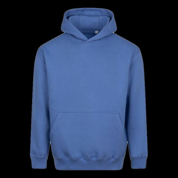 Vision heavyweight hoodie Thumbnail