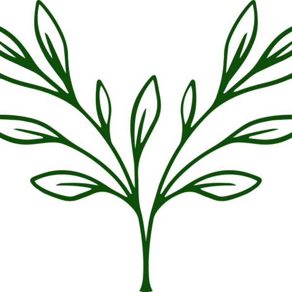 Plants 3 Thumbnail