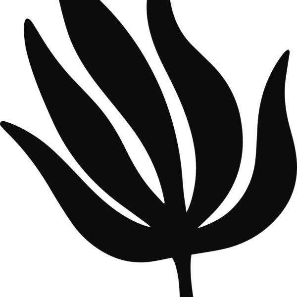 Tropical Leaf Thumbnail
