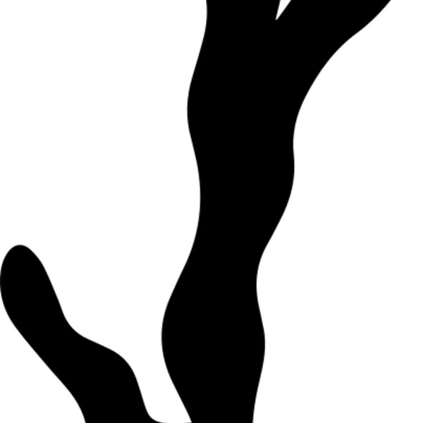 Twig Branch Thumbnail