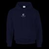 DryBlend® adult hooded sweatshirt Thumbnail