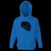 Kids premium hooded sweatshirt Thumbnail