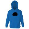 Kids premium hooded sweatshirt Thumbnail