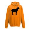 College hoodie Thumbnail